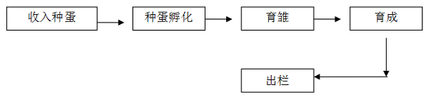 黔畫(huà)烏雞的技術(shù)養(yǎng)殖要求