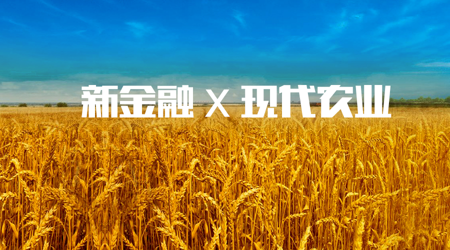 信和大金融：農業(yè)金融成焦點 四步戰(zhàn)略初呈現