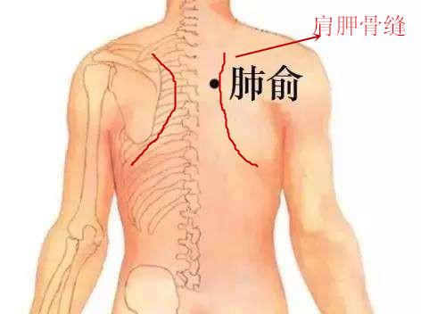 這個(gè)夏天“順”起來