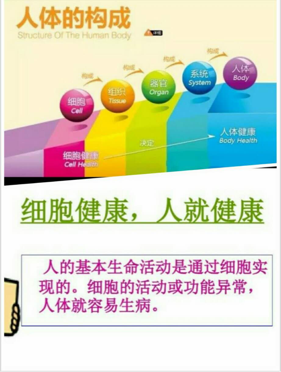 美國進口美寶牌胃腸膠囊怎么樣，有效果嗎，多少錢一盒，有副作用嗎？ 