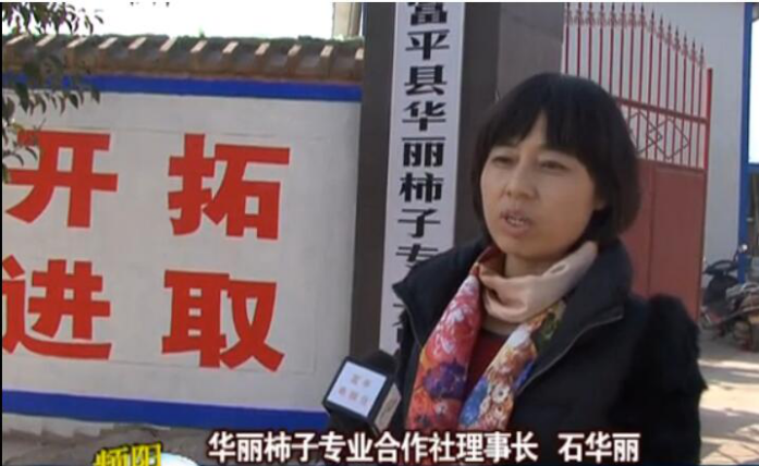 富平縣富柿花柿餅暢銷海內(nèi)外帶領(lǐng)柿農(nóng)齊致富