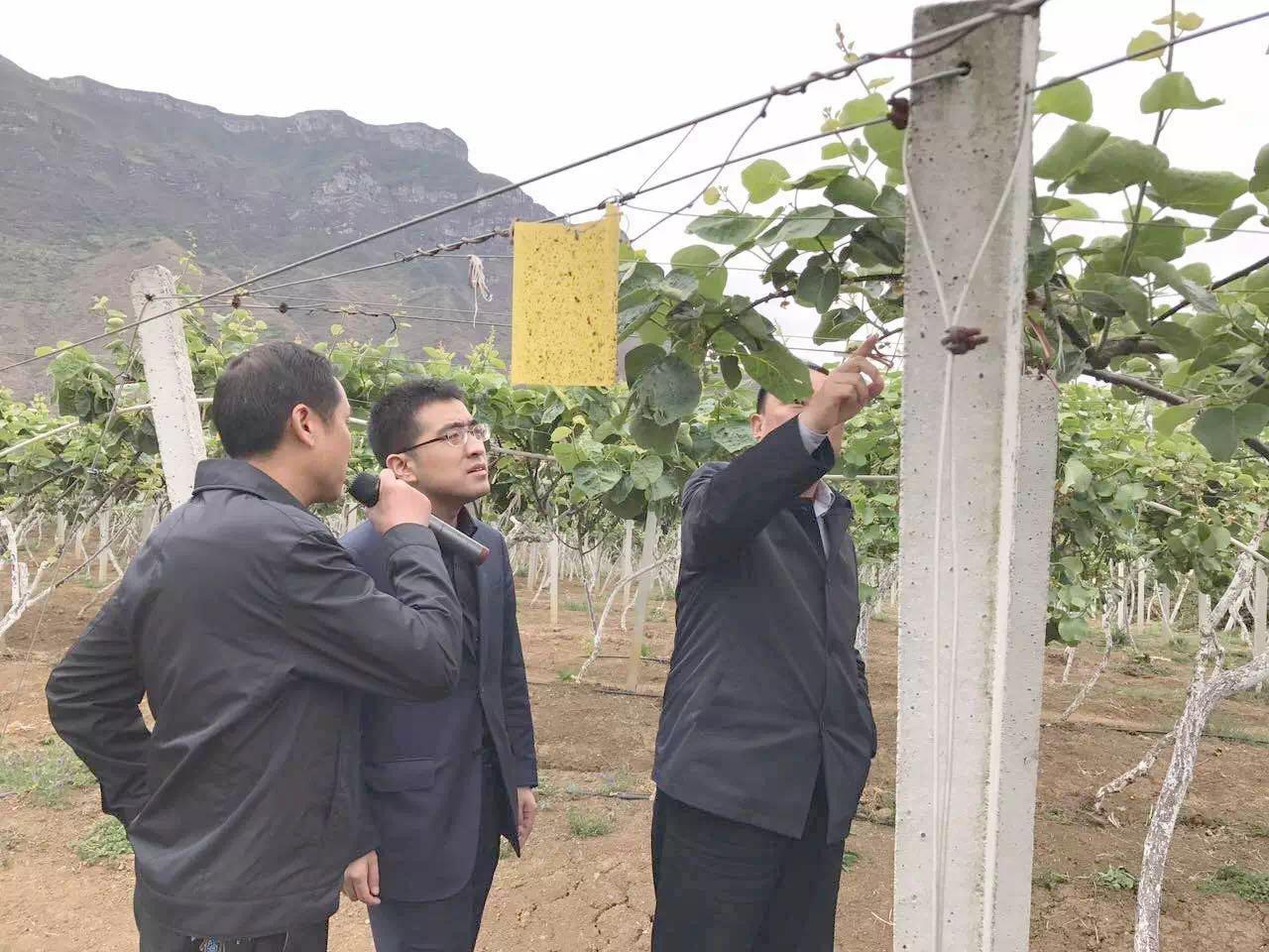 點擊查看原圖