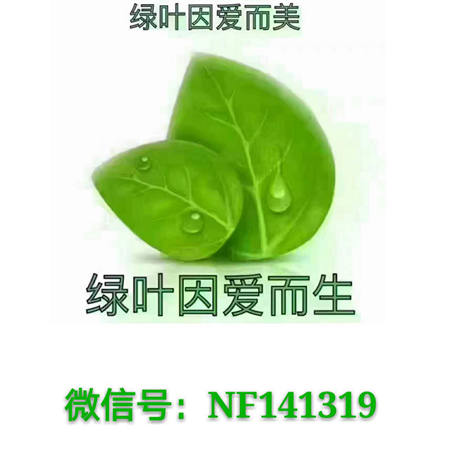圖片15.png