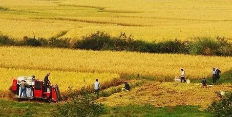 農(nóng)村家庭如何靠理財(cái)增收？積木盒子、微貸網(wǎng)、蜂融網(wǎng)