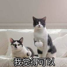 C:UsersAdministratorAppDataRoamingTencentQQTemp?DE214F3090646C18804D0C34FC2289D.jpg