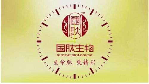 國肽張恒：踐行女排精神 打造冠軍品質(zhì)