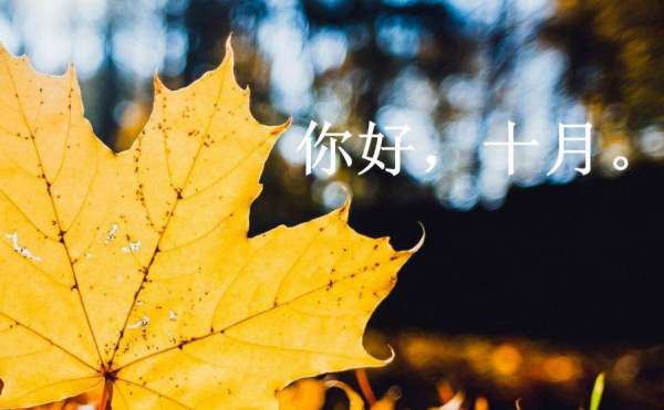 9月網(wǎng)貸理財排行，極光金融、悟空理財、ppmoney備受喜愛