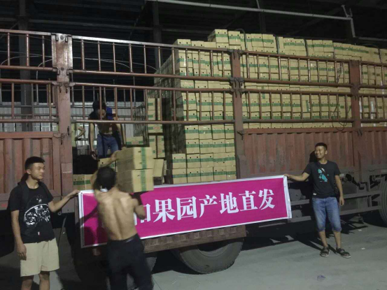 頤和果園一個真正可以放手一搏的項目