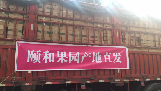 頤和果園平臺萬人團(tuán)隊(duì)火爆招募，場面太火爆
