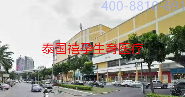 禧孕泰國(guó)試管嬰兒Jetanin：你了解你的排卵期嗎？