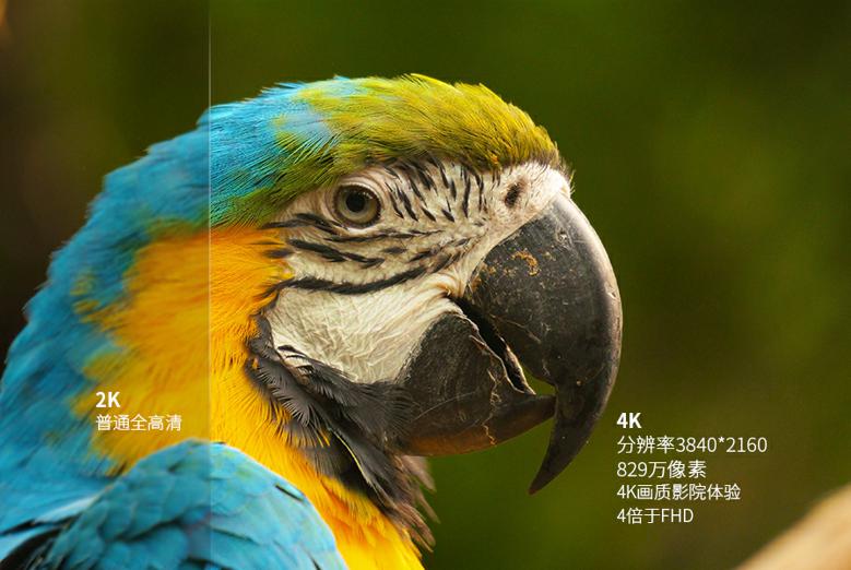 圖片2.jpg