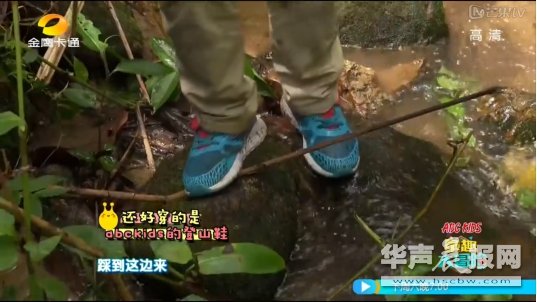 ABC KIDS《童趣大冒險(xiǎn)》野外生存大挑戰(zhàn)，新技能get起來(lái)！